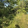 2020-Black Acre